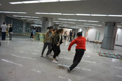 新西蘭風情文化集市 跨越山海，邀您共赴一場藝術盛宴
